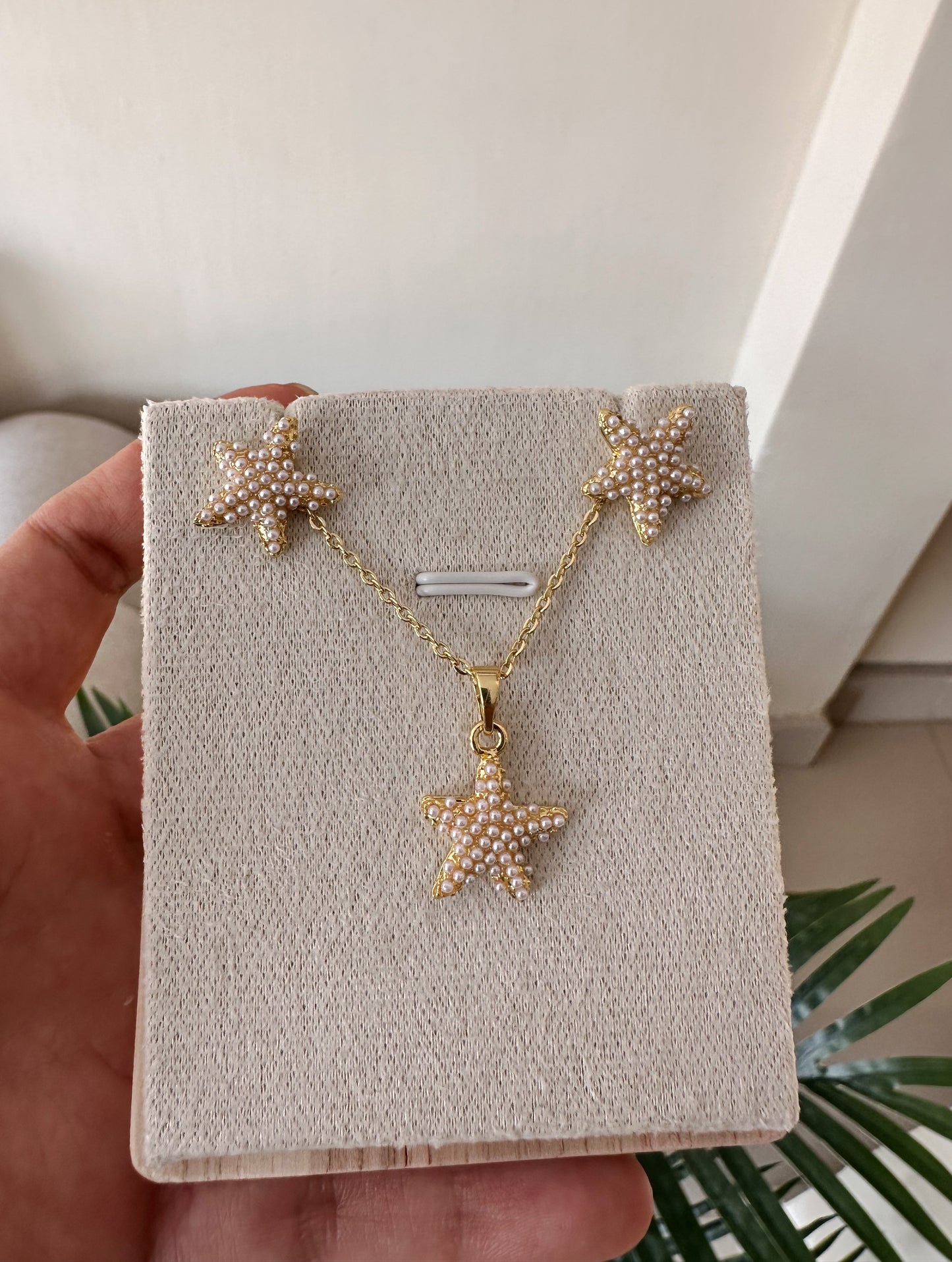 Set estrellas de mar perladas