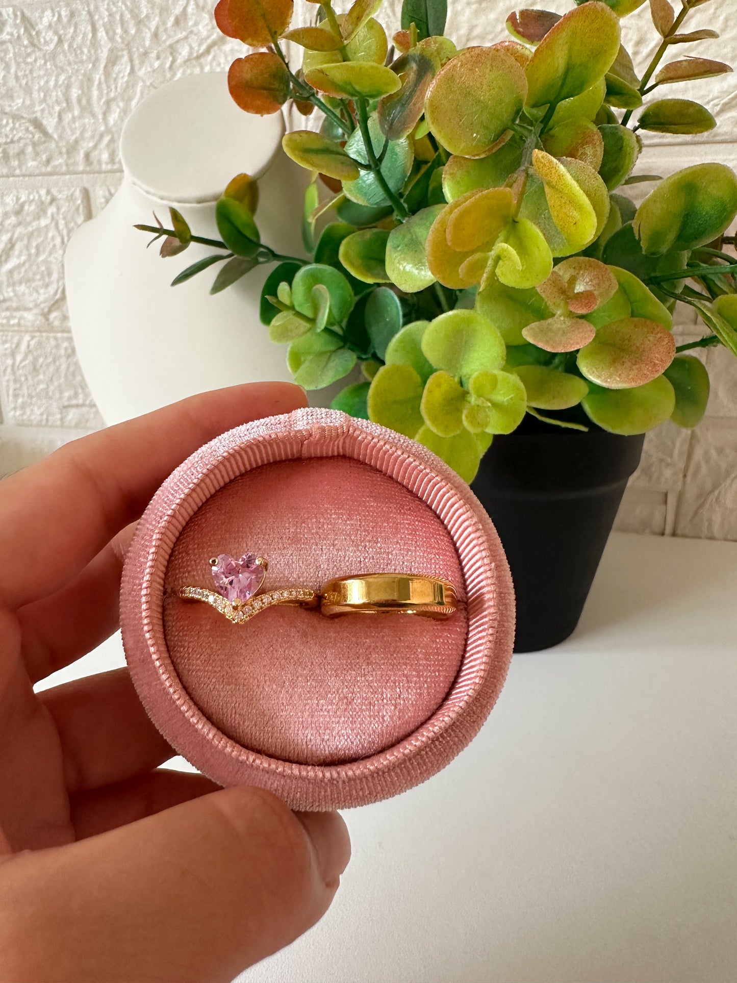 Anillos de promesa princesa rosa