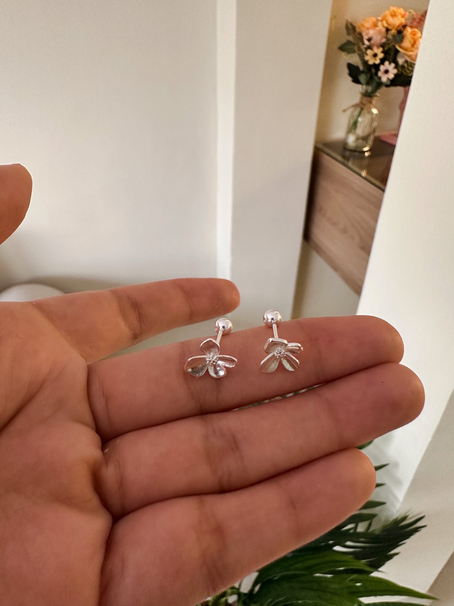 Aretes ortopédicos Plata