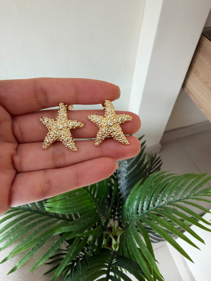 Maxi estrellas de mar