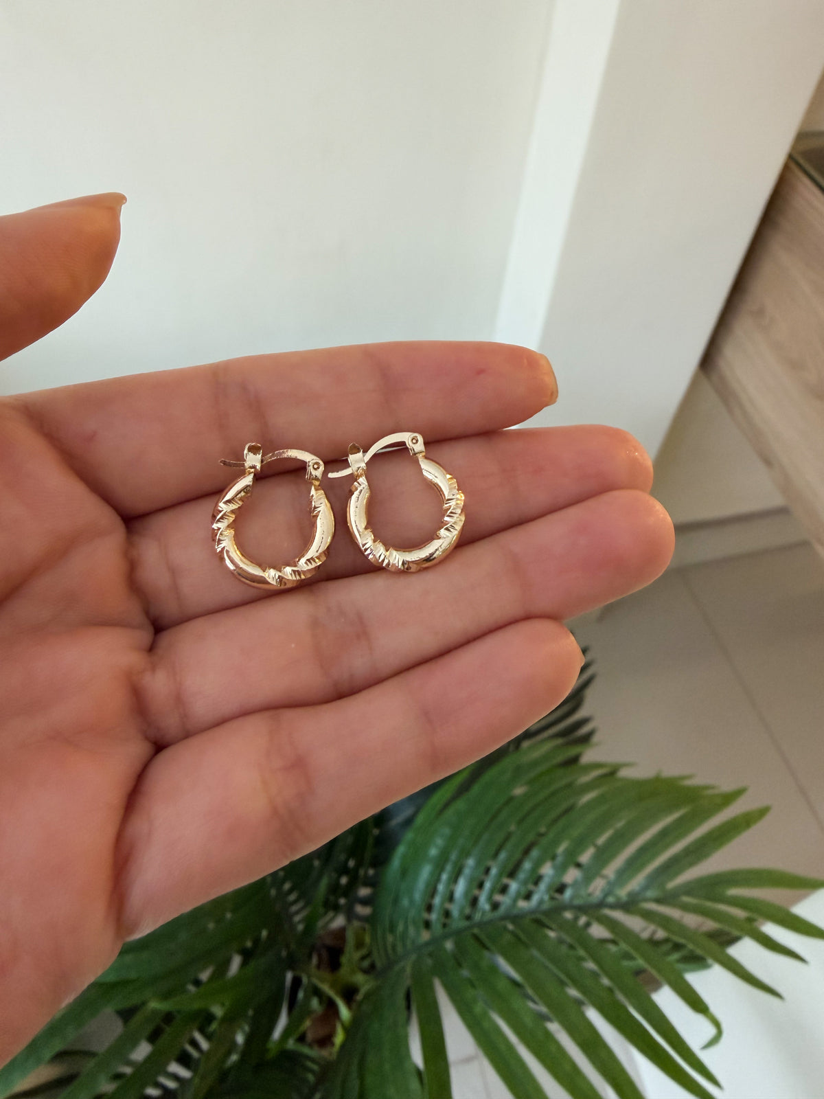 Argollas circulares trendy