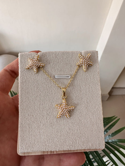 Set estrellas de mar perladas