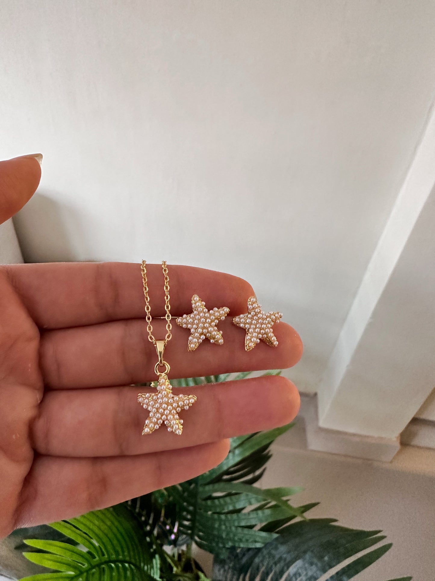 Set estrellas de mar perladas