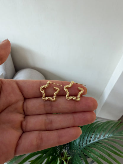 Aretes estrellas
