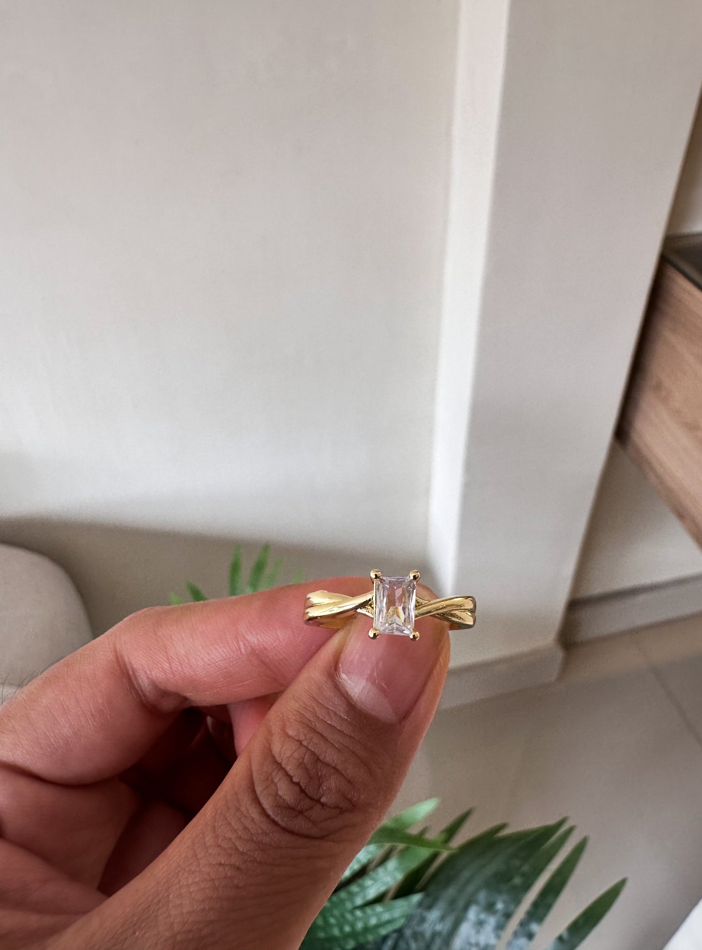 Anillos entrelazado promesa