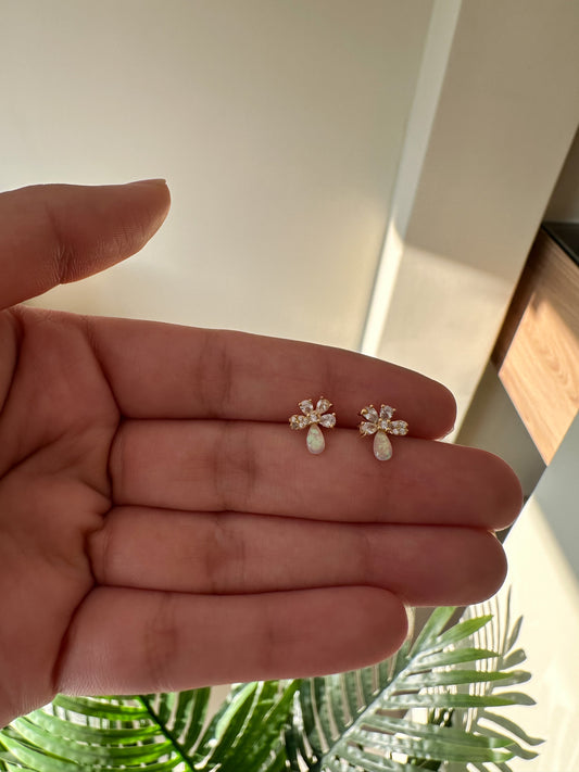 Aretes piedritas brillantes