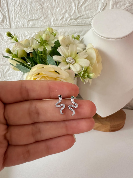 Aretes serpiente ortopédicos