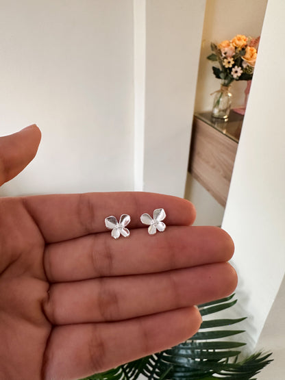 Aretes ortopédicos Plata
